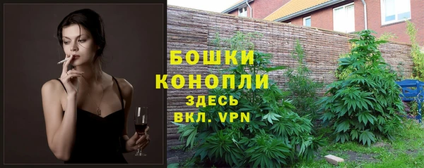 гашик Медногорск