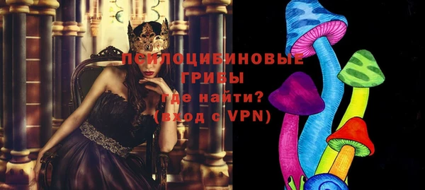 трава Медвежьегорск