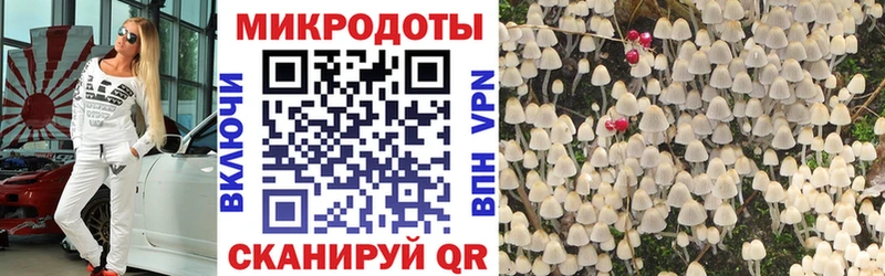 где можно купить наркотик  Ачинск  OMG рабочий сайт  Псилоцибиновые грибы мухоморы 